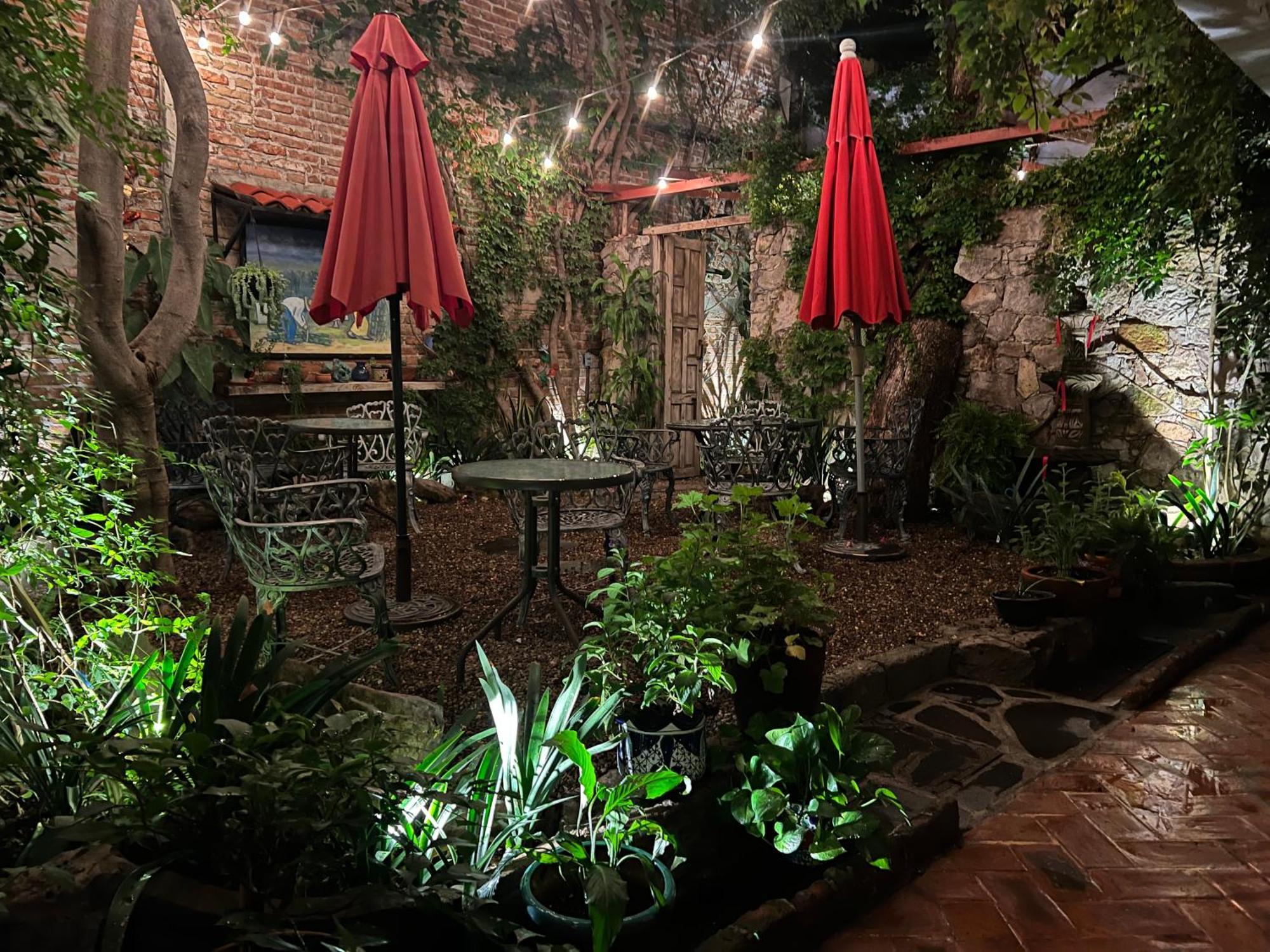 Boutique Hotel Casa Camellia サン・ミゲル・デ・アジェンデ エクステリア 写真